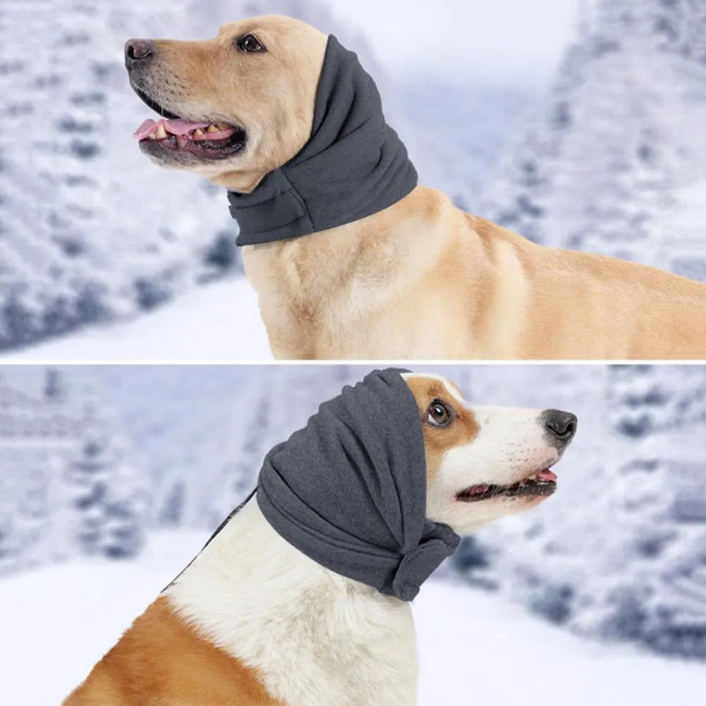 Black dog hoodie with ear covers on canine model showing closure system
