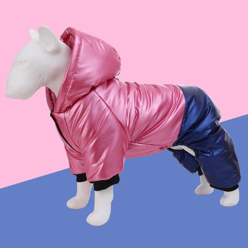 Green waterproof four-legged dog coat with cotton padding on a medium-sized dog