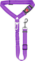 Nylon dog leash with metal buckle shown in multiple colour options including army green, black, blue, pink and red.