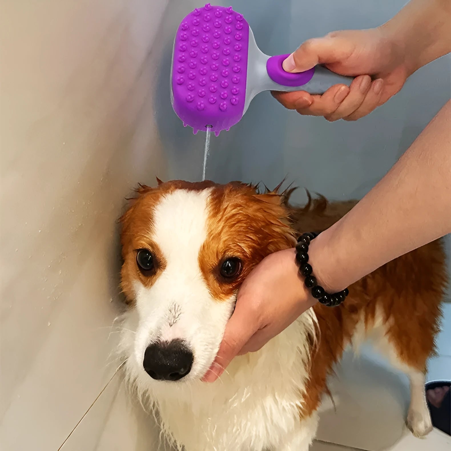 Purple silicone pet shower brush floating in water for dog bath, with body lotion included