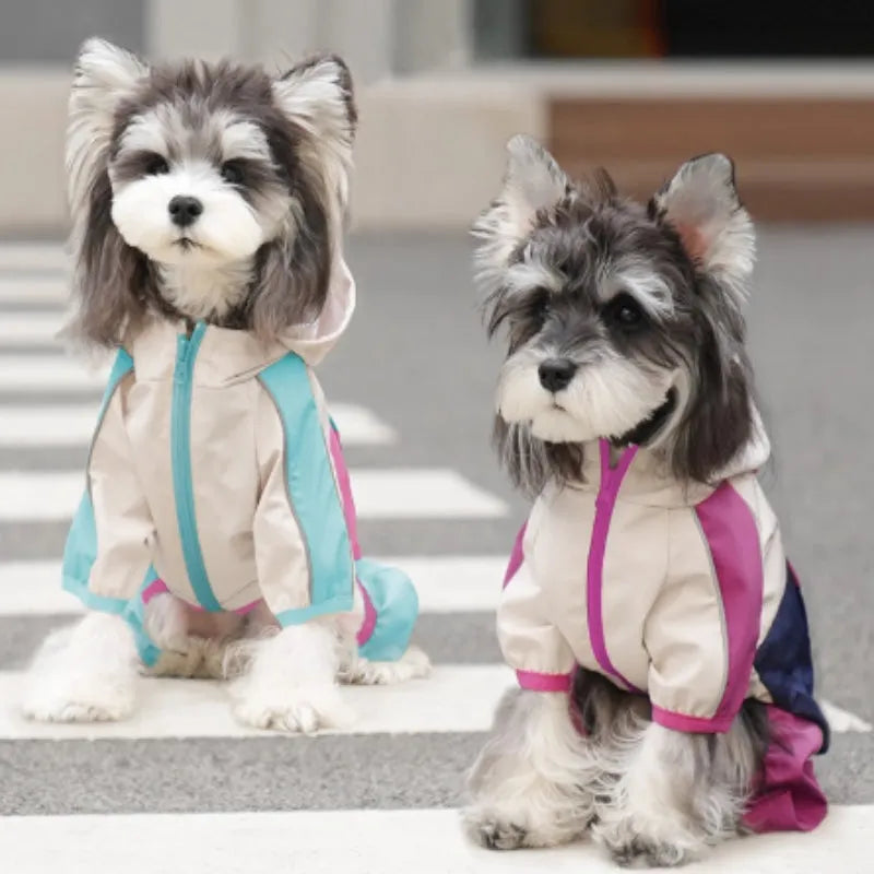 Waterproof candy colour pet jacket in yellow with anti-fouling polyester outer shell on a dog