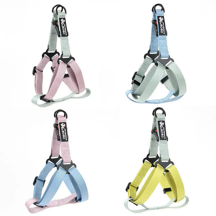 Nylon adjustable dog breast strap with hand holding rope in blue pink colour on white background