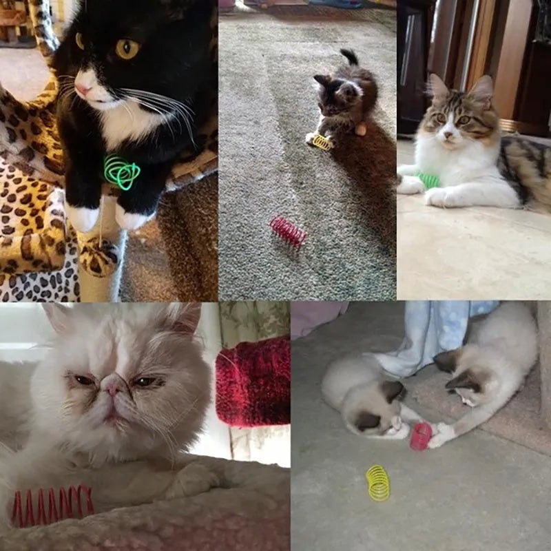 Plastic cat spring toys in mixed colours showing 5.5cm length and 2cm diameter measurements