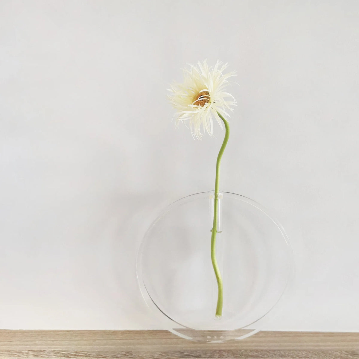 Handmade acrylic test tube vase with polished surface, shown in pink or transparent, small or large size options.