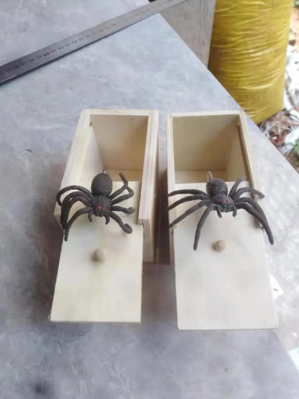 Small camellia wood trick box with spider prank for youth
