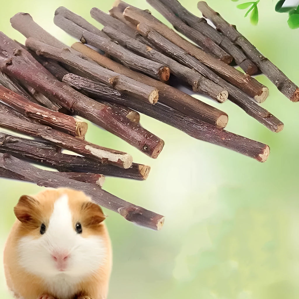 Dried apple branches 100g pack natural small pet treat for rabbit chinchilla hamster teeth cleansing