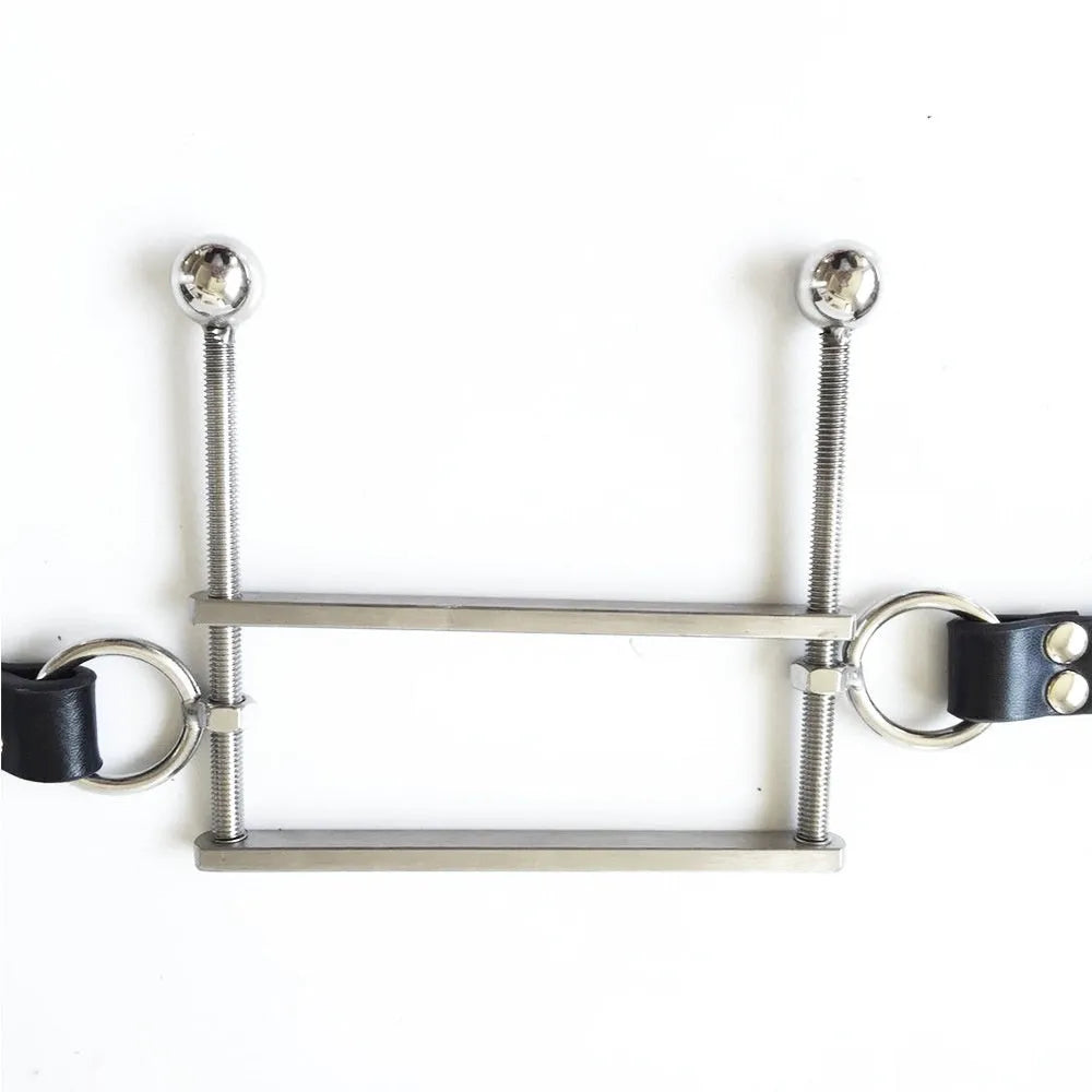 Stainless steel open mouth gag in black, pink, and red colour options for adult BDSM use