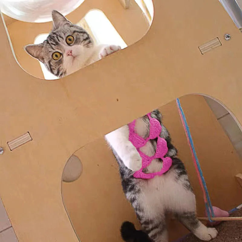 Cat wearing adjustable bikini costume in sweet style design with elastic straps