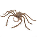 Grey polyester pet costume with a large black spider design for Halloween, shown on a dog.