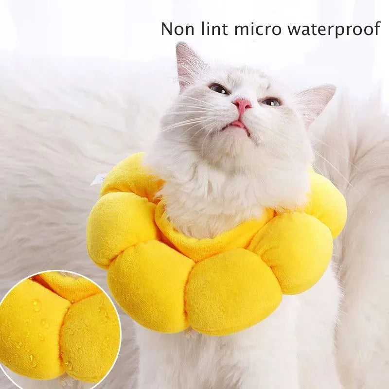 Soft cotton pet recovery Elizabethan collar with adjustable band on a cat.