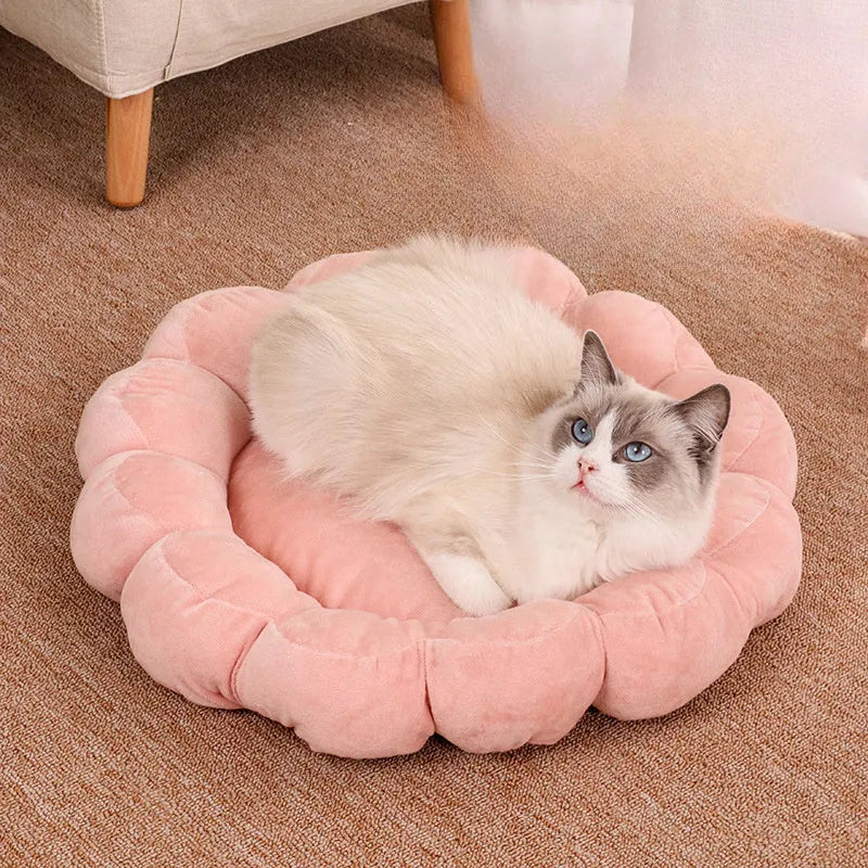 Blue half-enclosed plush pet bed measuring 50cm square for cats and small dogs.