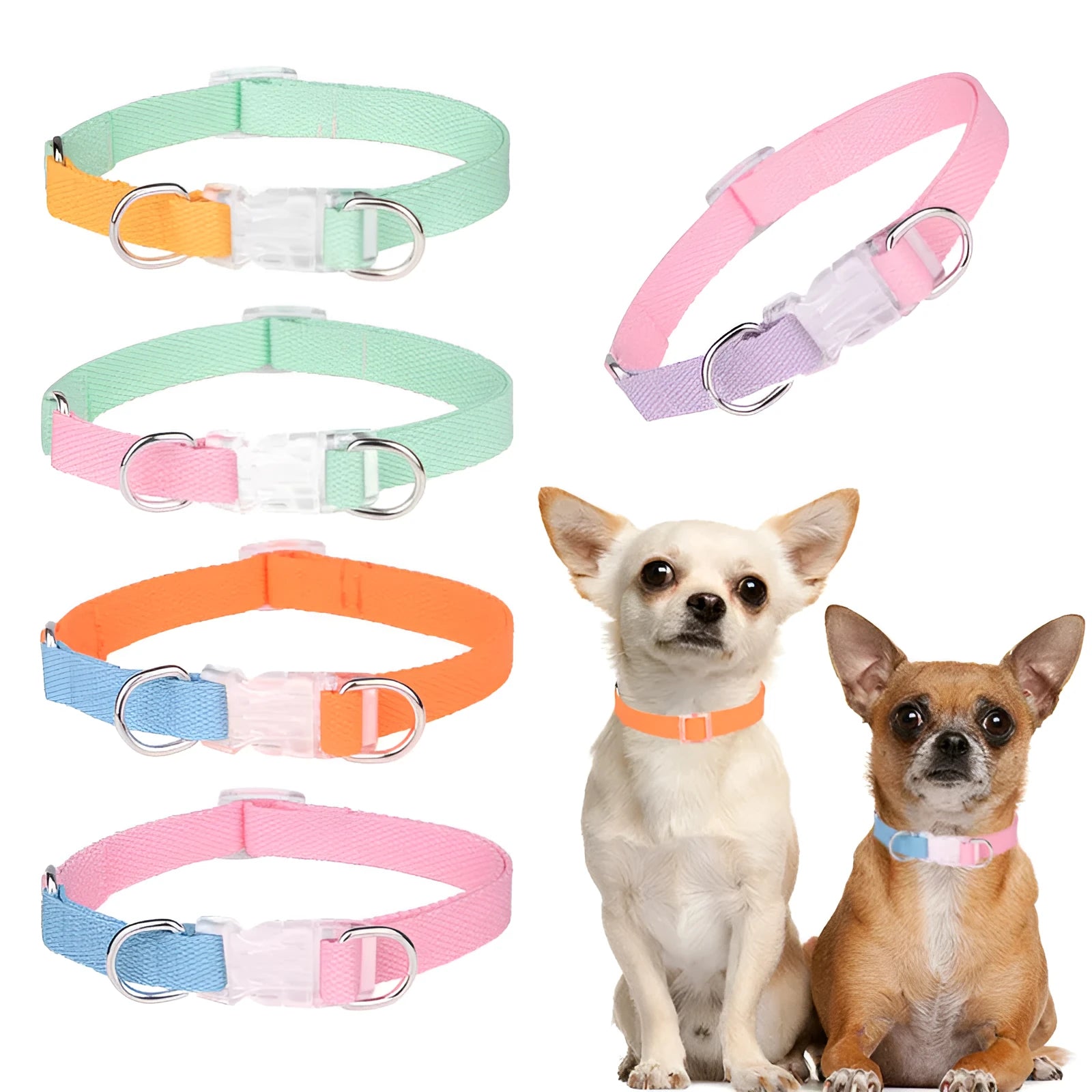 Polyester ribbon dog collar, leash and harness set in five colour options with three size choices