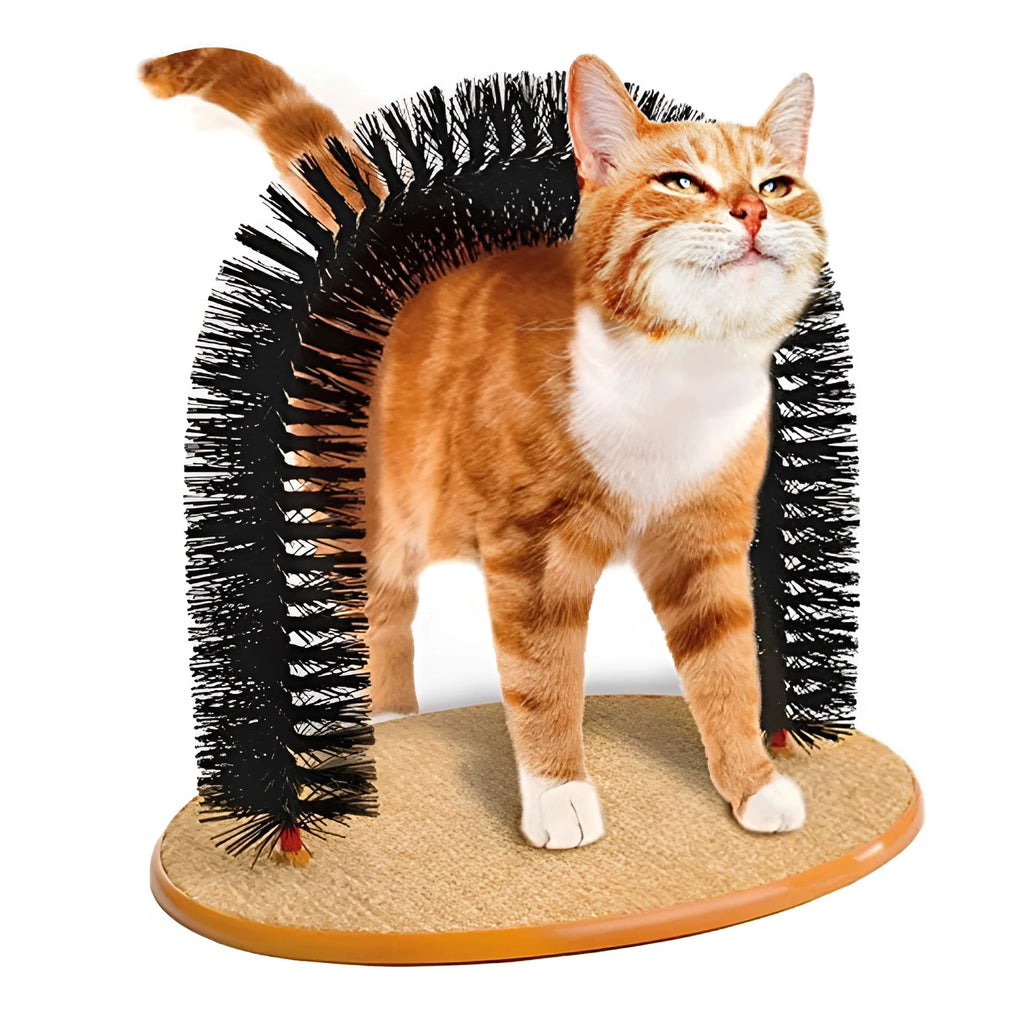 A white arched cat grooming toy with integrated brush bristles for scratching and self-grooming.