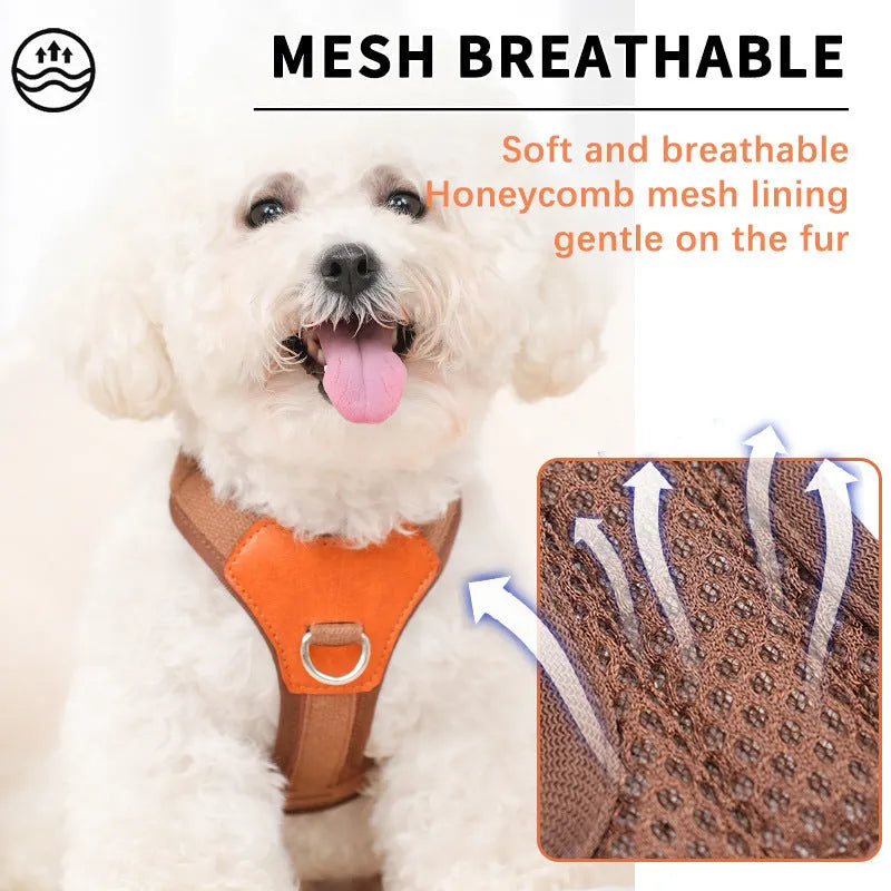 Retro dog hand holding rope pet harness chest strap in polyester, available in brown, green, and blue