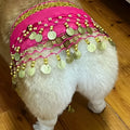 Corgi belly dance hip scarf with sequined waist chain in rose red, red, yellow, purple, sapphire blue and lake blue
