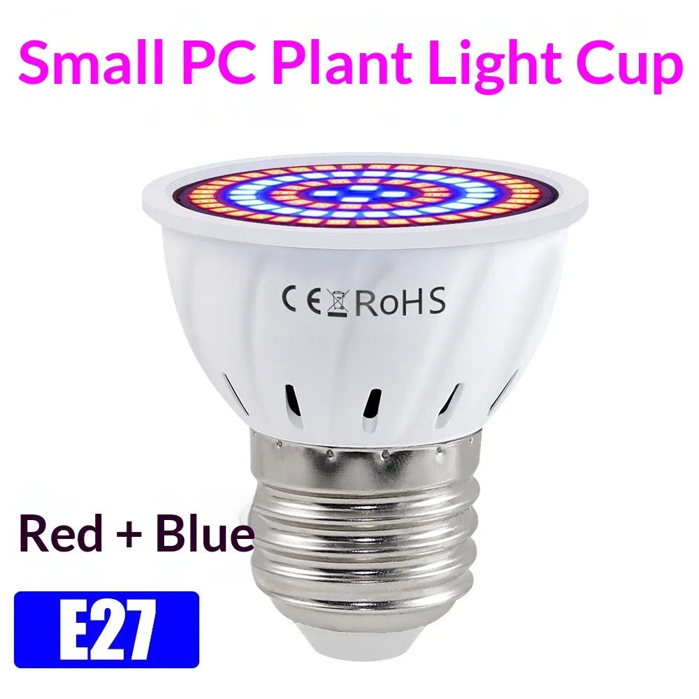 Red-blue spectrum plant growth fill light with 126 beads and PC shell on a shelf