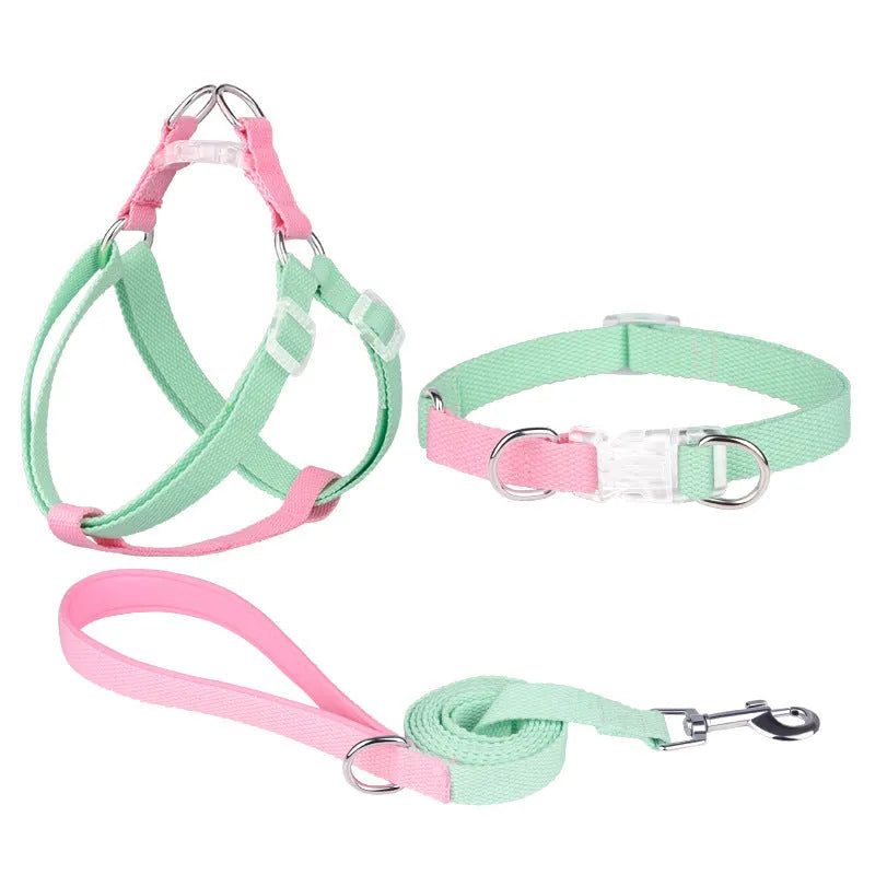 Polyester ribbon dog collar, leash and harness set in five colour options with three size choices