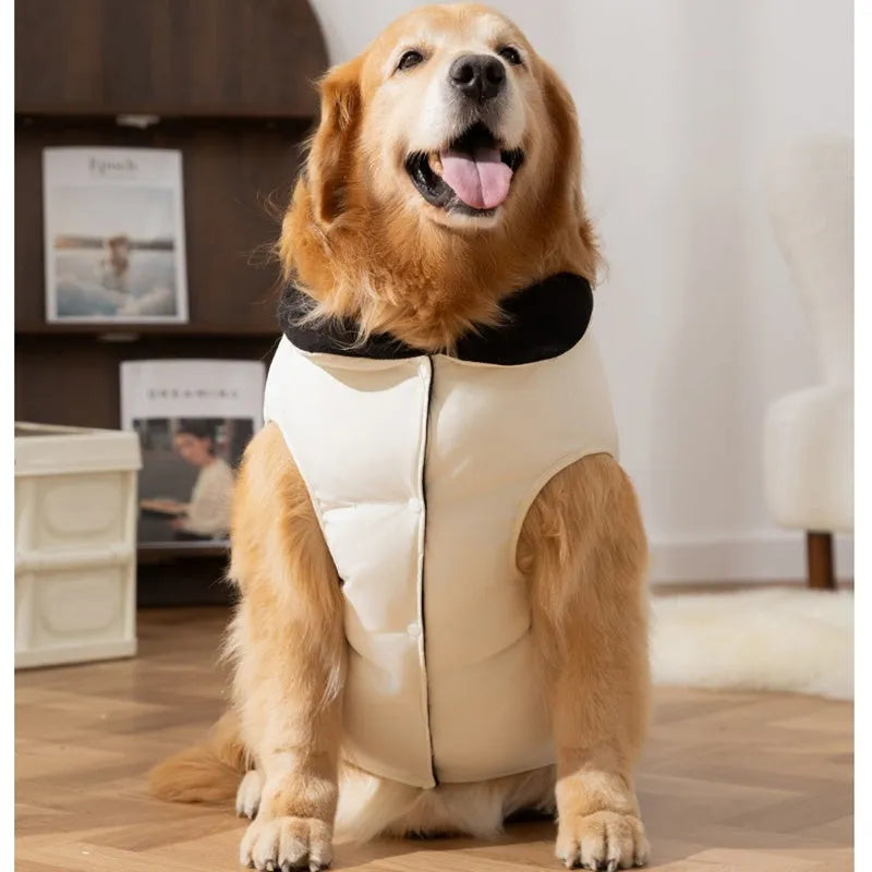 Thick winter cotton-padded dog vest for large dogs with zipper and pocket, black colour