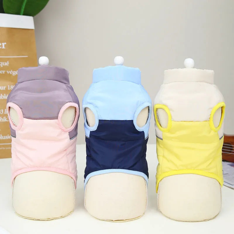 Dog wearing autumn winter cotton vest with zipper in blue colour