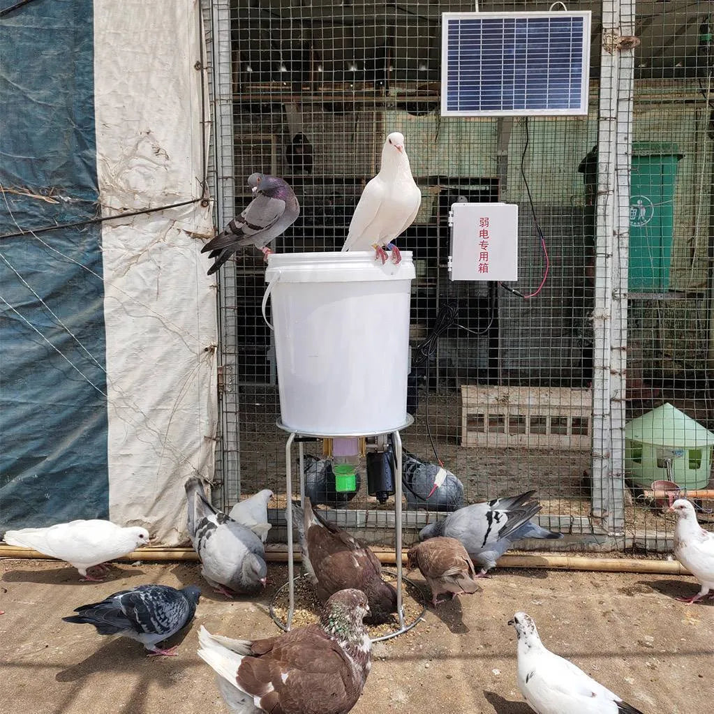 Solar-powered automatic chicken feeding device with timer and watertight caisson housing