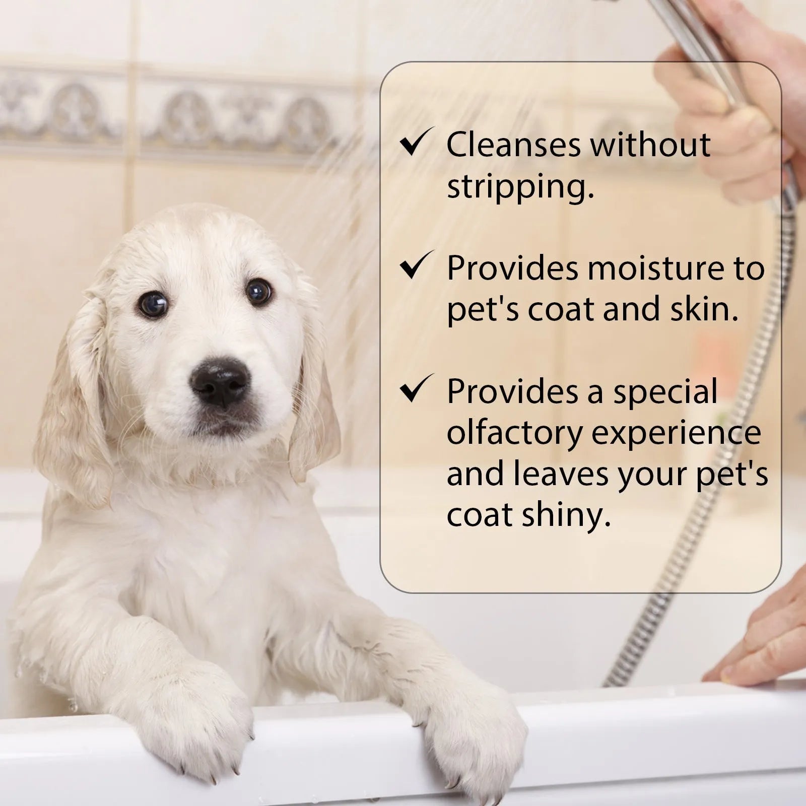 Bottle of mild pet shampoo for dogs and cats in 100ml and 300ml sizes