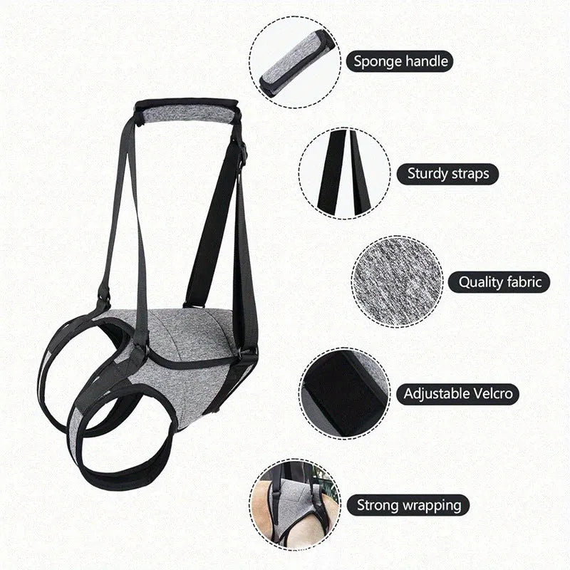 Grey neoprene dog recovery belt for rear leg injury support with sizing chart