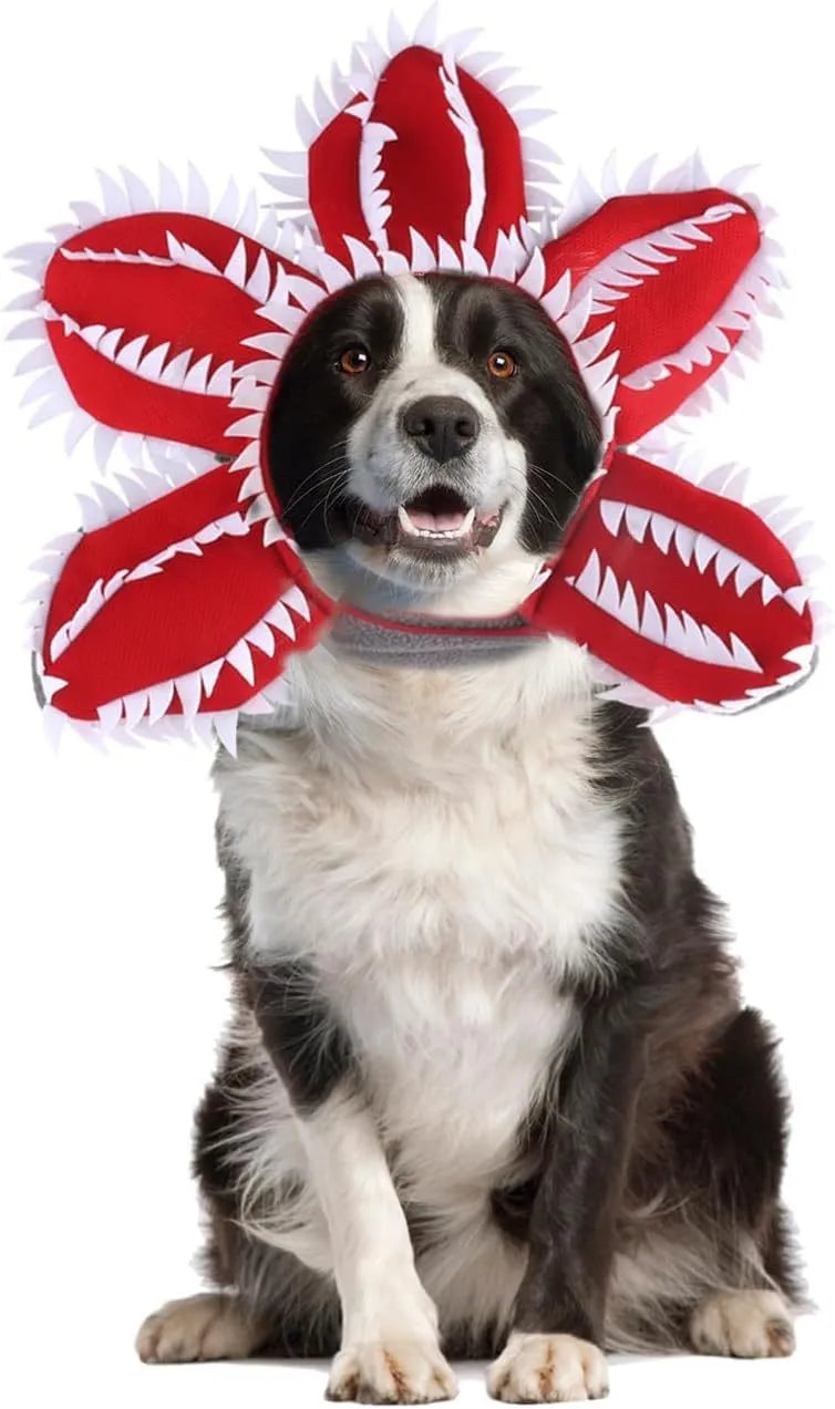 Dog wearing Halloween demon chomper hat costume with flower headband for medium-sized pets