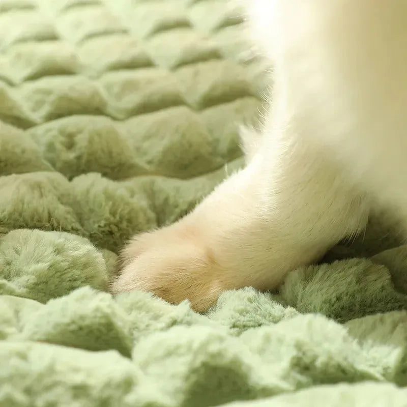 Detachable warm dog mat for large dogs in autumn and winter, shown in coffee colour