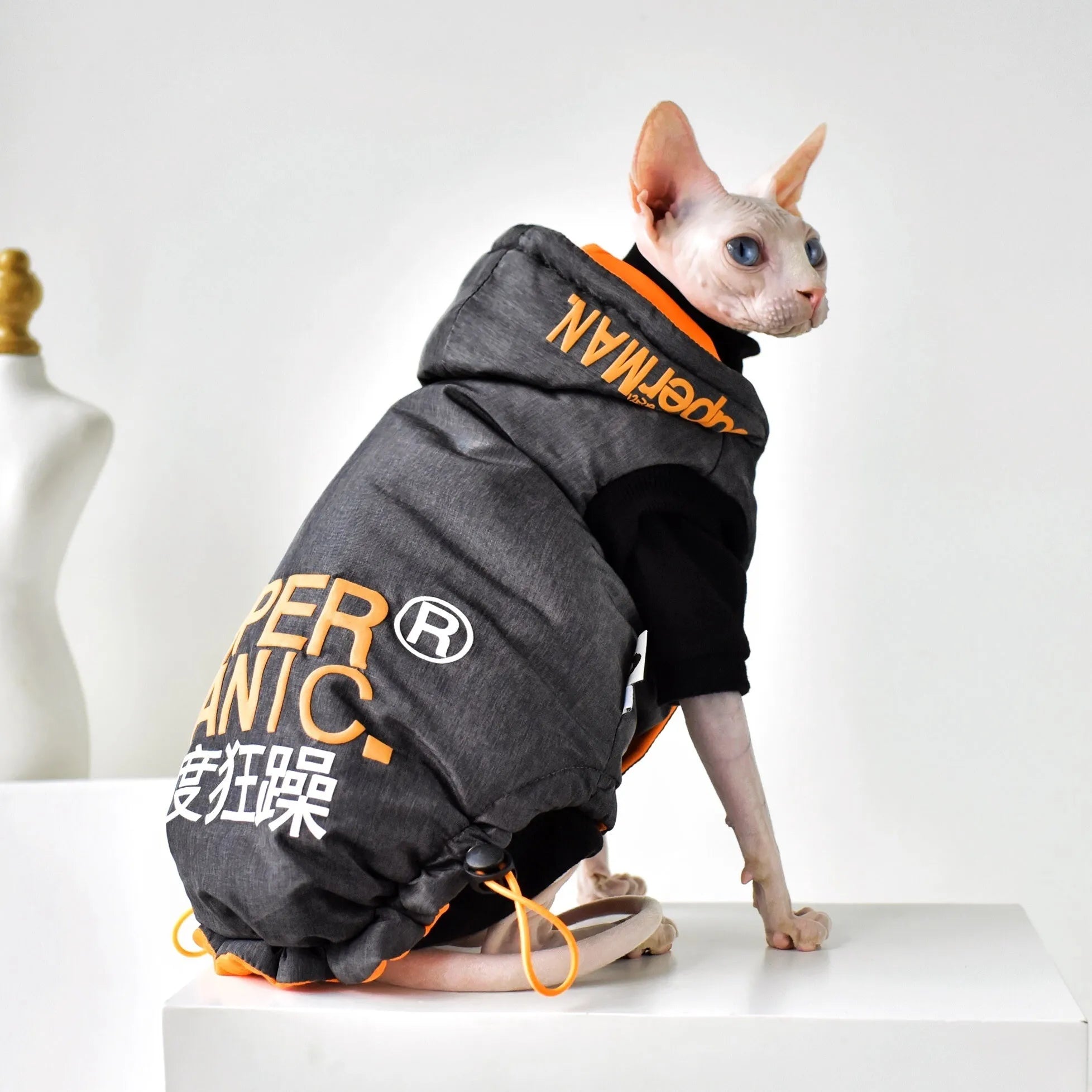 Space Grey hairless cat winter coat with windproof TP polyester outer and cotton lining, sizes S-XXL