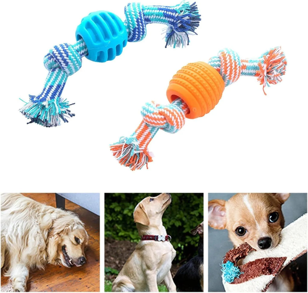 Blue dog chew toy with a textured molar shape and integrated knotted ropes on a white background.