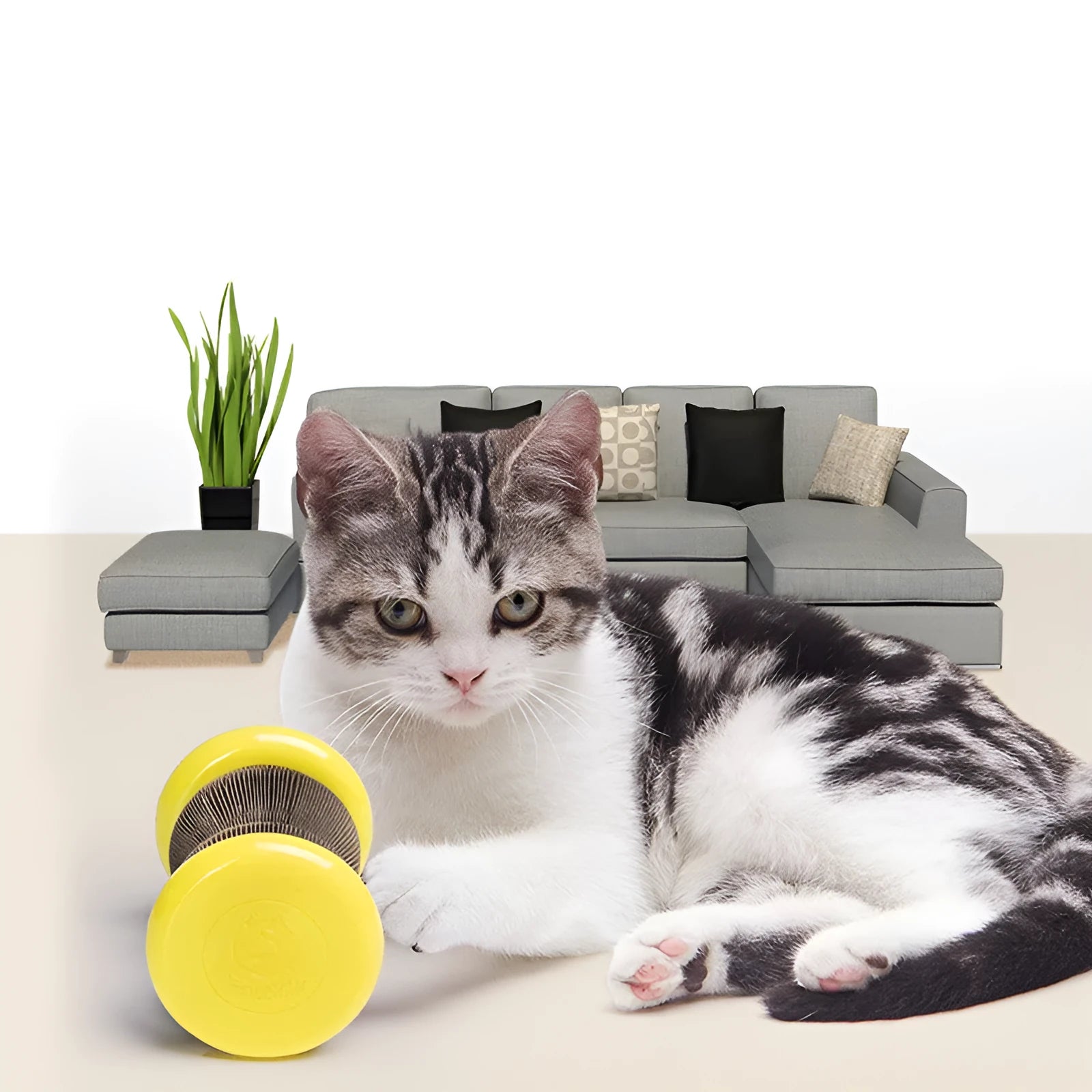 Magic organ corrugated paper wheel cat scratching board toy in Wonderful Cat Scratch Wheel colour