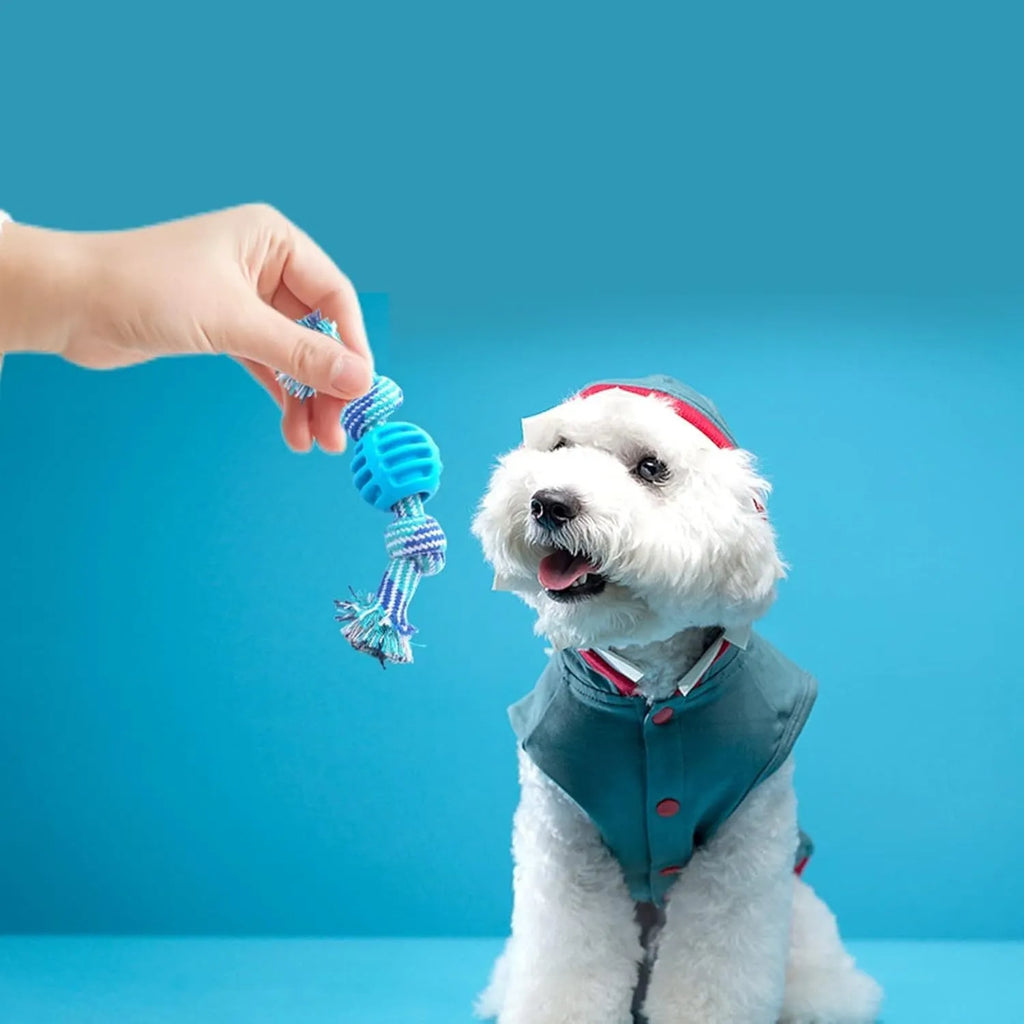 Blue dog chew toy with a textured molar shape and integrated knotted ropes on a white background.