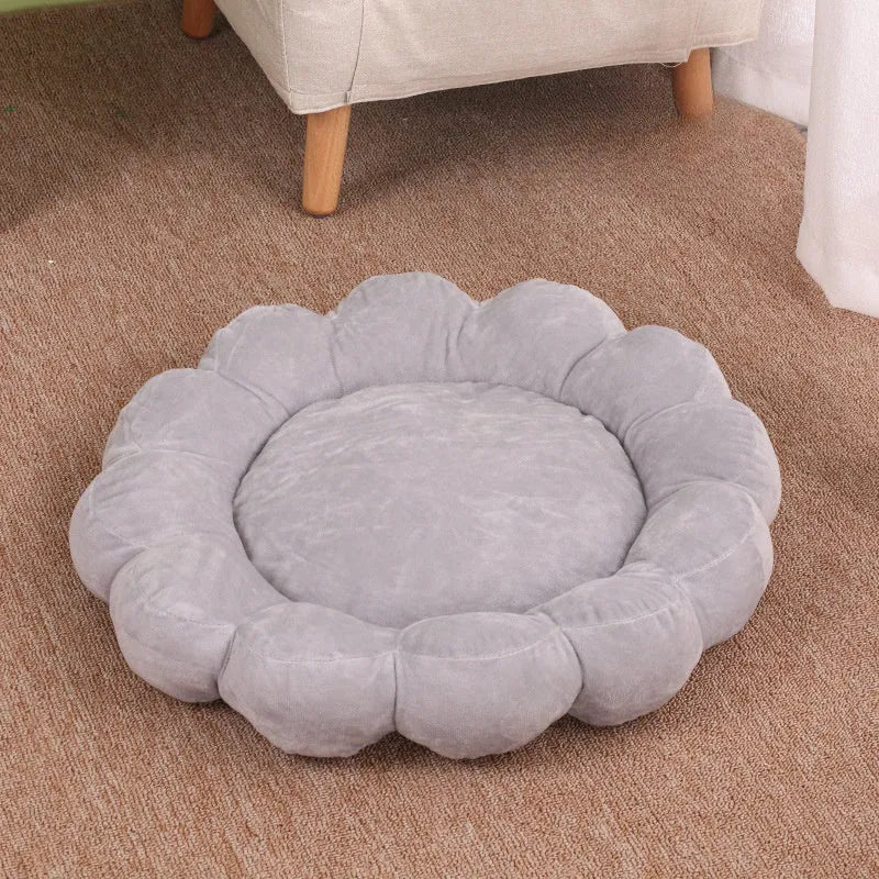 Blue half-enclosed plush pet bed measuring 50cm square for cats and small dogs.