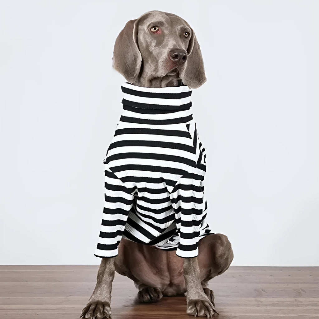 Black and white thin polyester dog coat for large breeds showing size range from M to XXXL