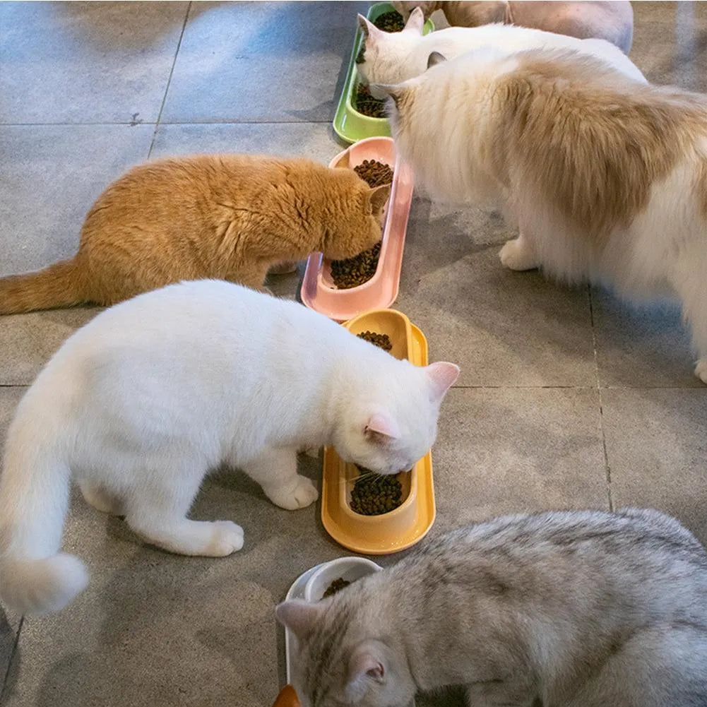 Leakproof pet bowl feeder for cats and dogs in green, pink or yellow colours