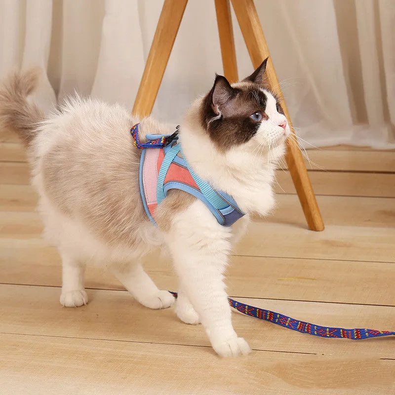 Anti escape reflective cat harness leash set with suede material and colour-matching rope in blue