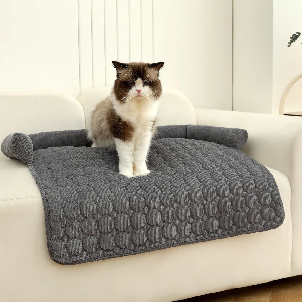 Corduroy pet dog cat bed blanket mat with neck pillow thick soft pad in beige color on a sofa