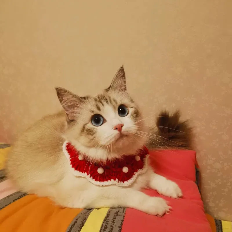 Knitted pet collar in milk cotton with cartoon pattern, shown in multiple sizes for cats, dogs, and rabbits