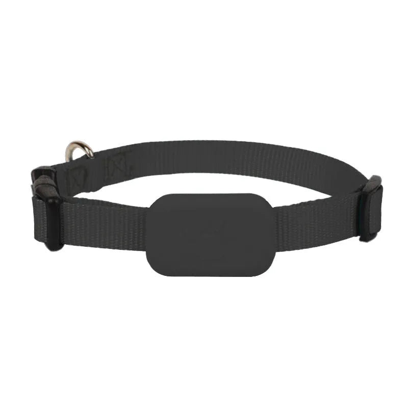 Black Bluetooth pet positioning collar with adjustable strap on a grey background.