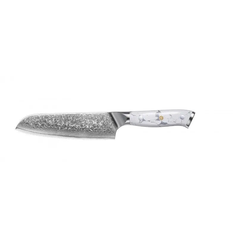 Damascus pattern VG10 steel combined chef's knife with 21cm blade and 11cm handle