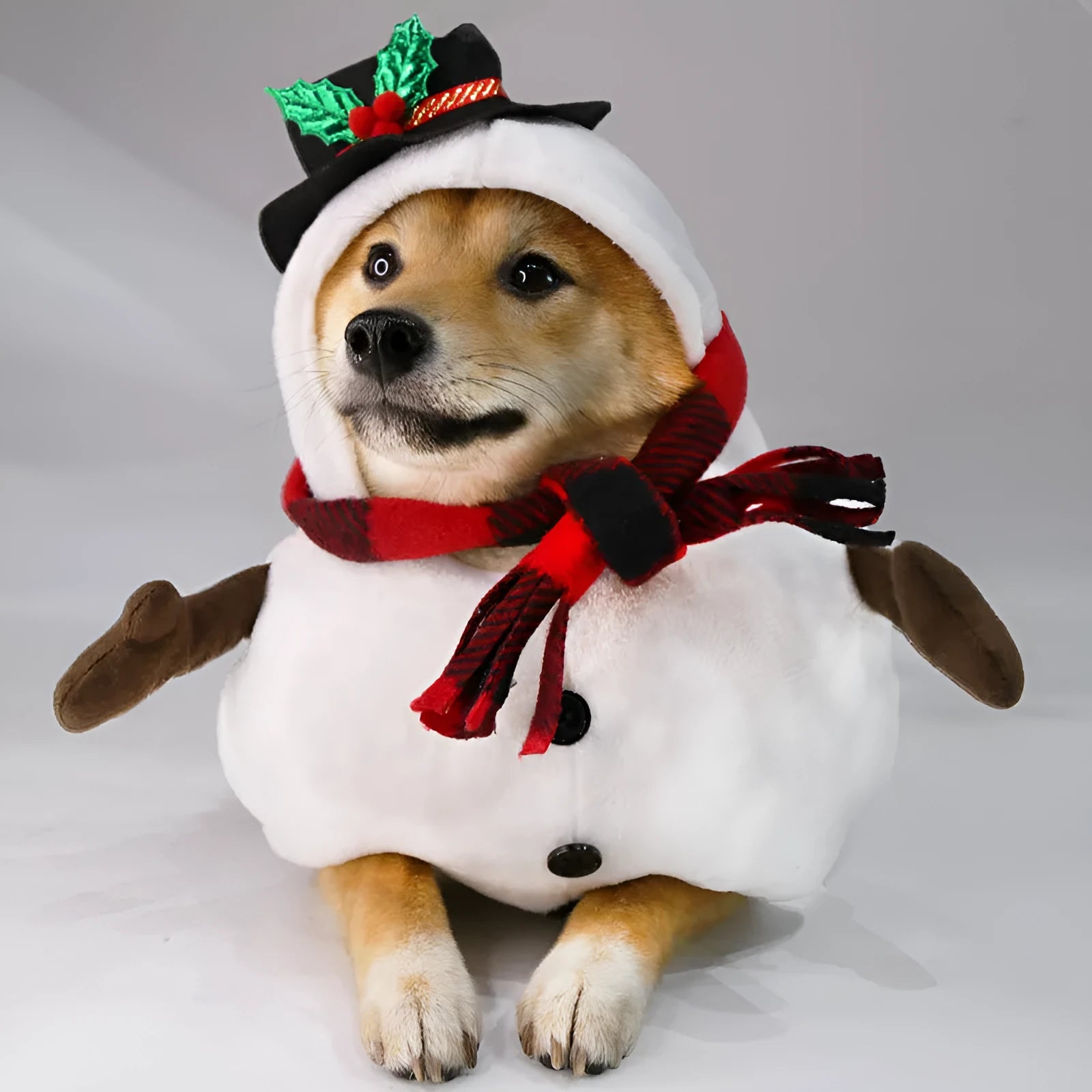 Christmas snowman costume outfit for dogs and cats in festive design with polyester fabric