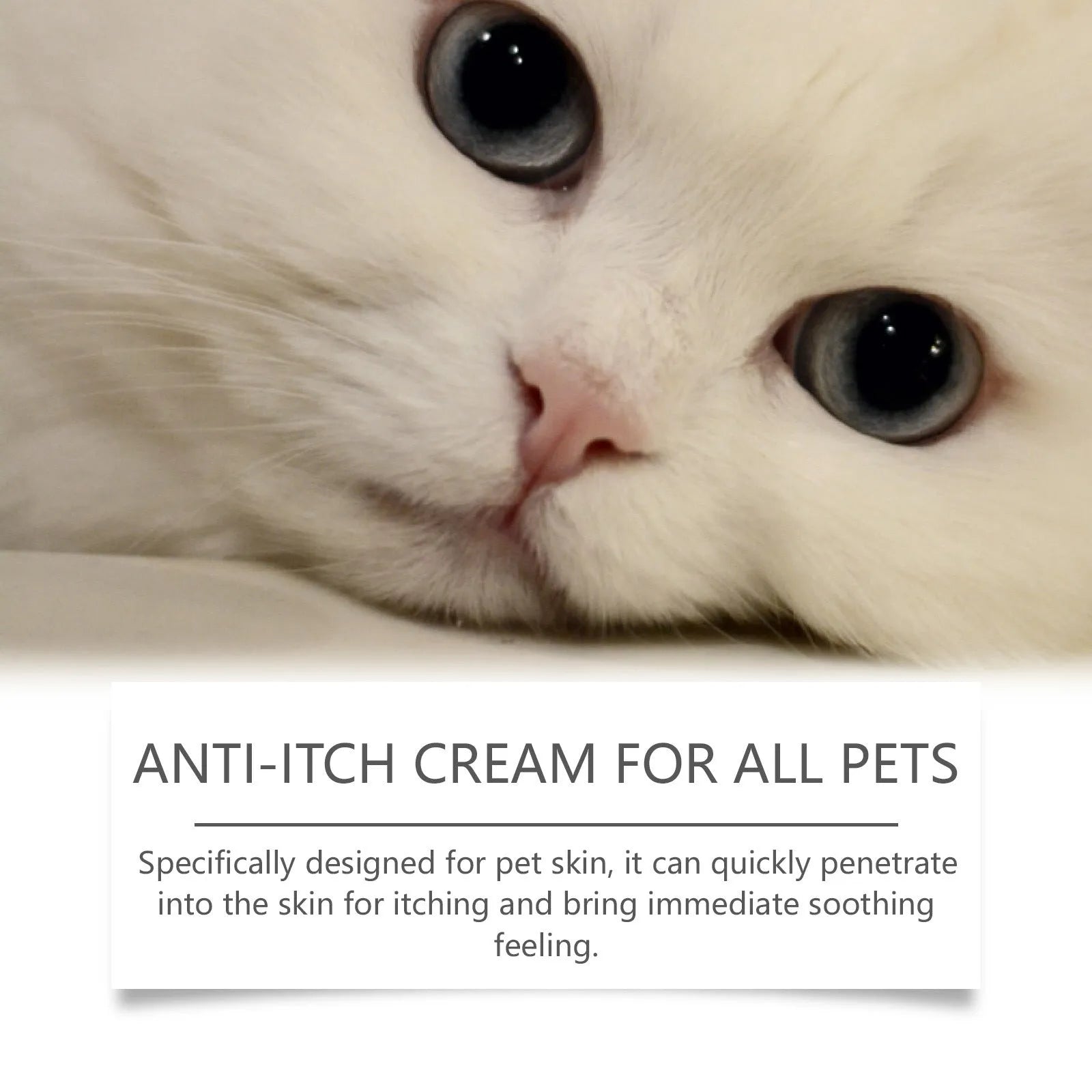 60g tube of pet antipruritic cream for cats with tea tree oil and aloe vera.