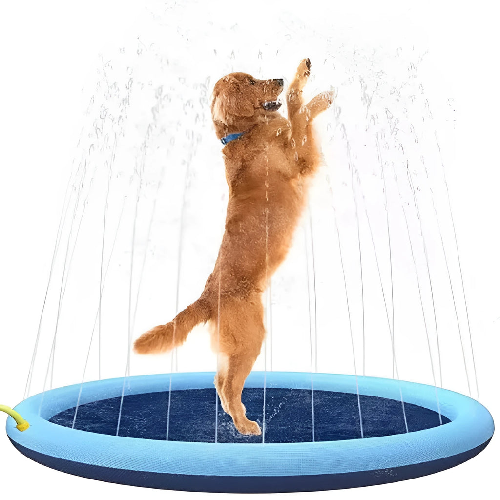 Dog playing on a large blue anti-slip splash pad mat in a garden, with water sprinklers active.
