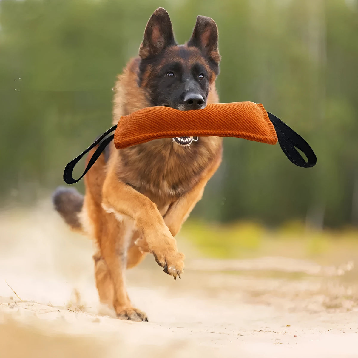 Dog bite pillow in red thickened bite resistant cloth with silk wool fill, 170g training toy