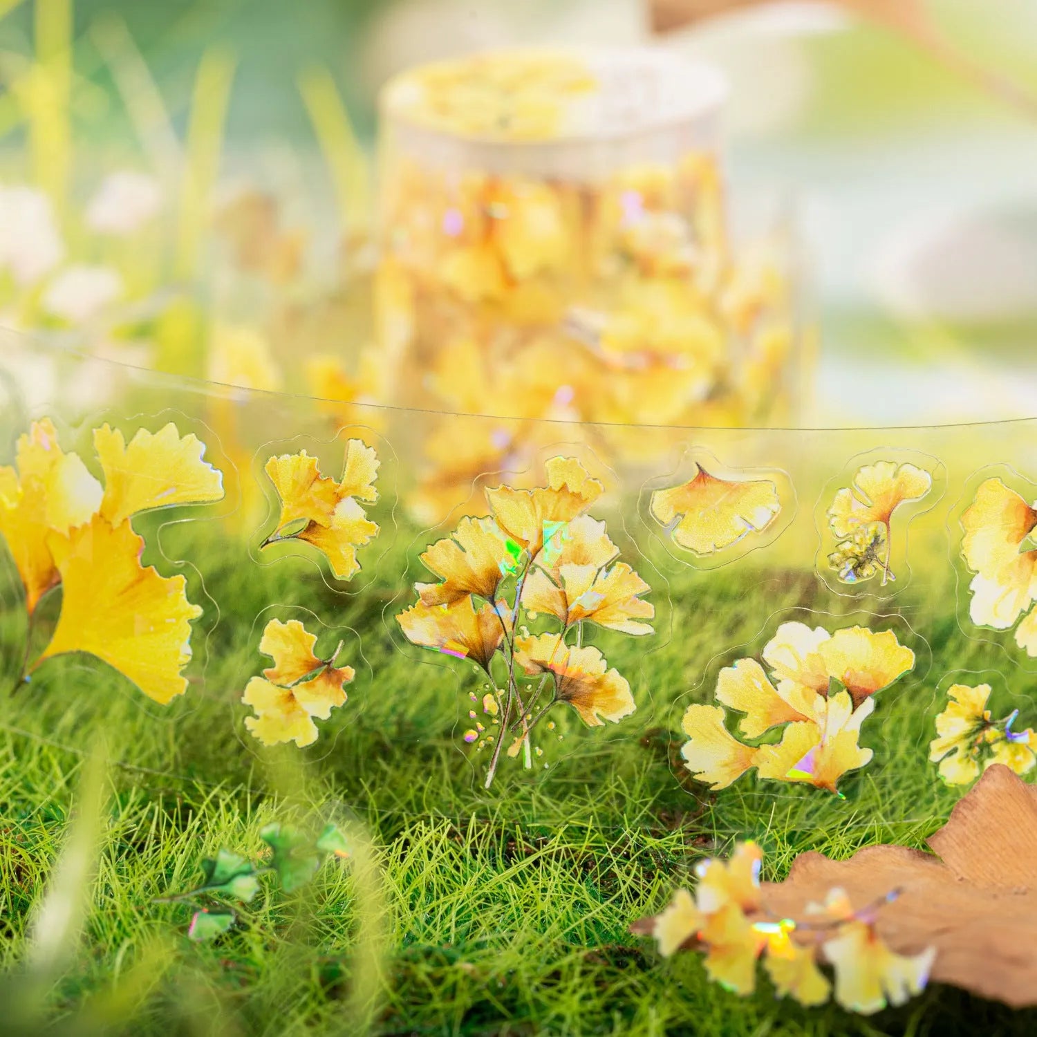 Roll of 40mm wide decorative PET stickers showing six leaf and nature designs including ginkgo and maple motifs.