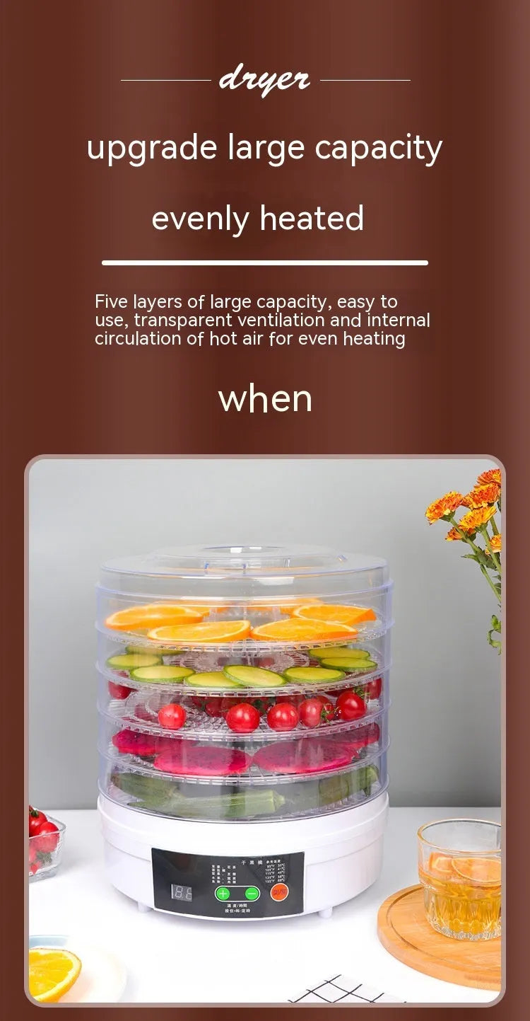 Five-layer stainless steel tray food dehydrator with British plug for home use.
