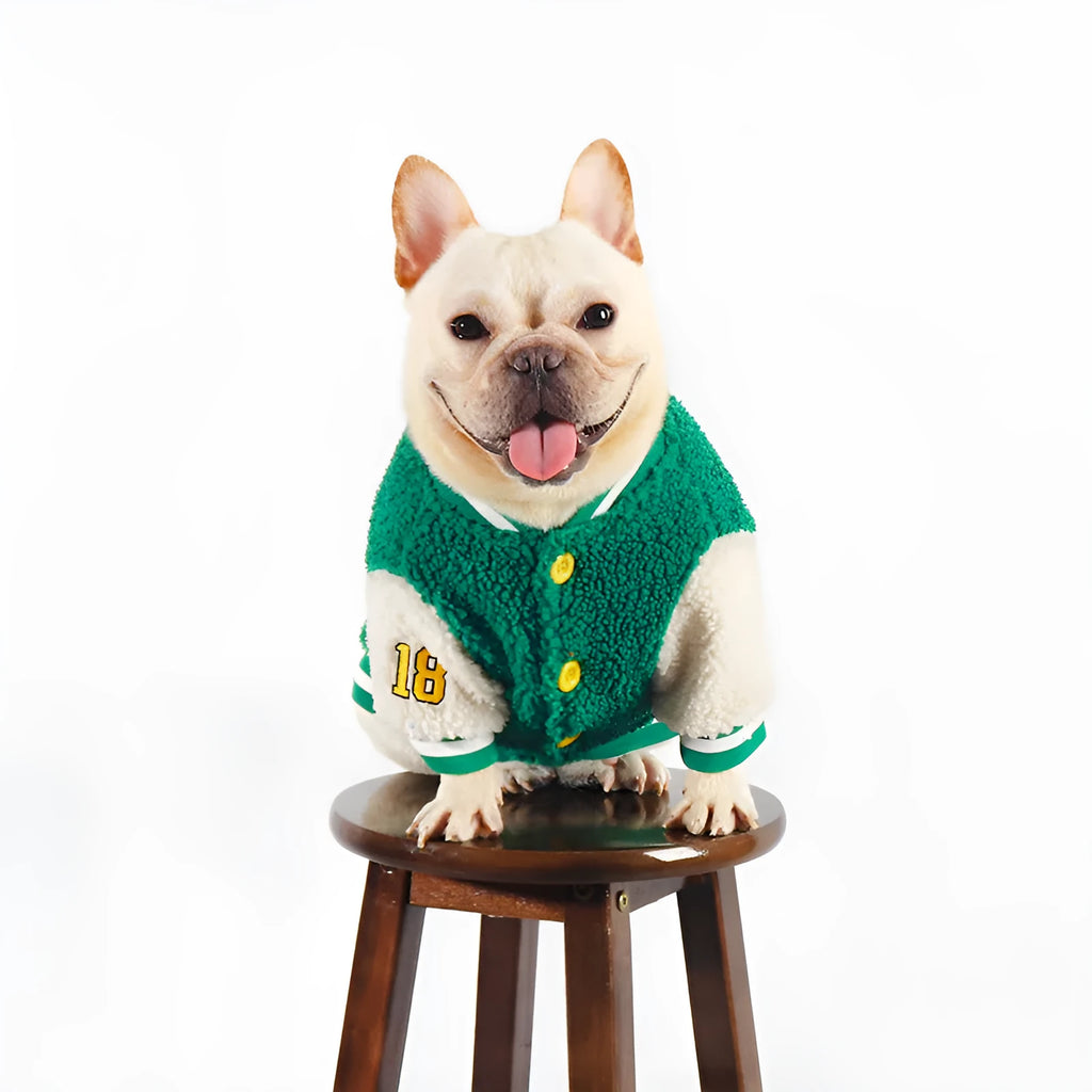 Green dog winter jacket with fleece lining shown in sizes L to 4XL