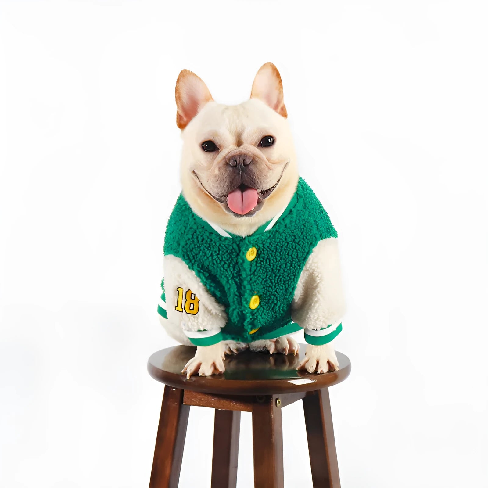 Green dog winter jacket with fleece lining shown in sizes L to 4XL