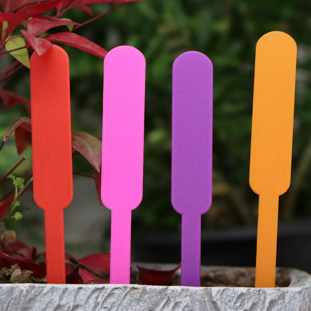 Horticultural Succulents waterproof sunscreen garden pot label 100PCS PP material 12 x 1.5 cm in various colours