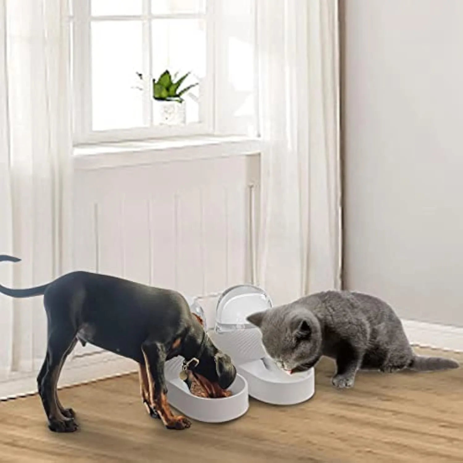 White PP gravity cat feeder and water dispenser set with wave-shaped design